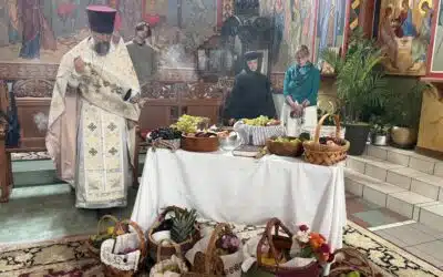 Transfiguration, 2025