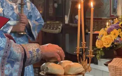 Nativity of the Theotokos, 2025