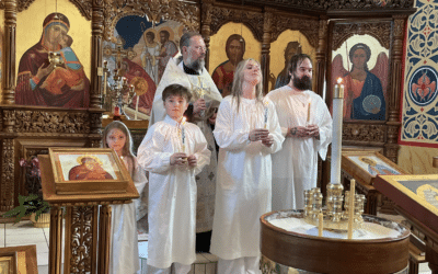 Newly Illumined: Job, Olga, Michael, and Demi